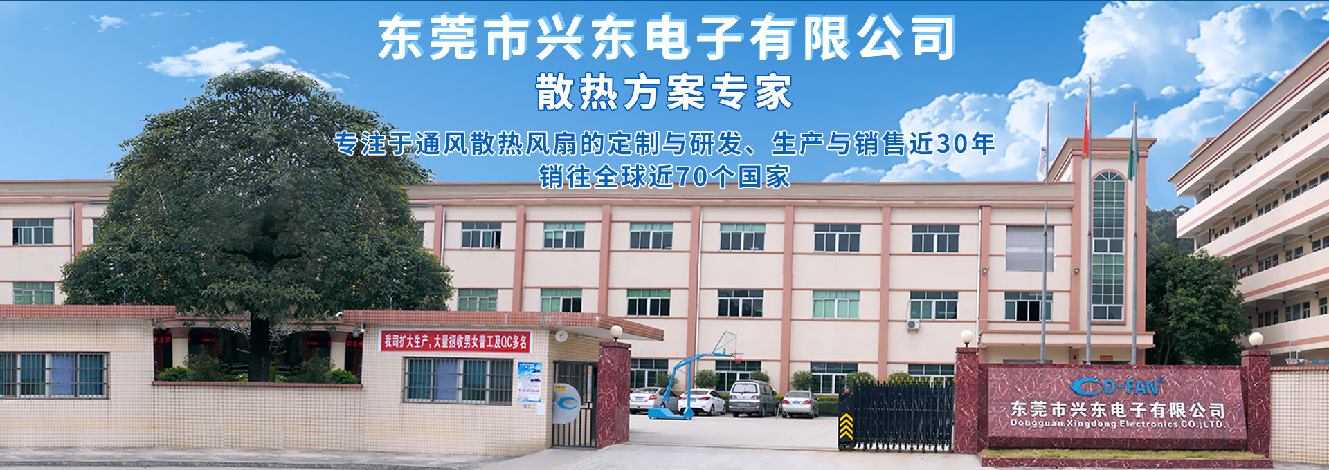 木線(xiàn)條,家具用楊木線(xiàn)條,楊木線(xiàn)條,歐式實(shí)木線(xiàn)條,實(shí)木木線(xiàn)條,拋光木線(xiàn)條,歐式木線(xiàn)條批發(fā)